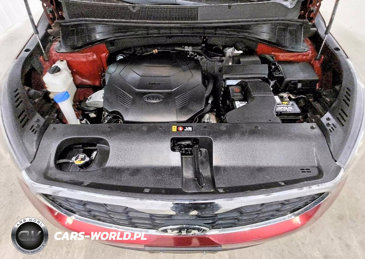 2019 Kia Sorento Lx V6 VIN:5XYPG4A55KG561769 - 12