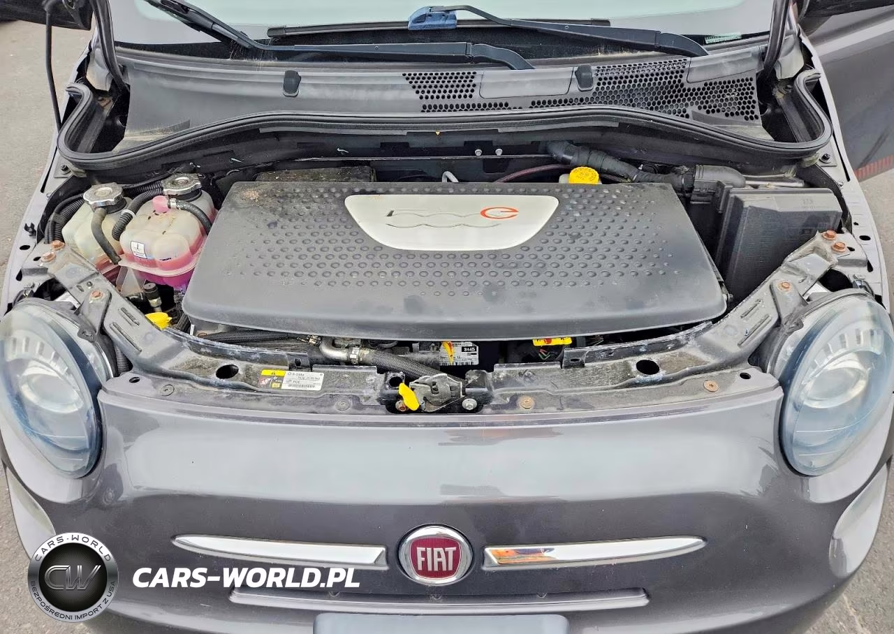 2014 Fiat 500 Electric VIN:3C3CFFGE6ET225425 - 11
