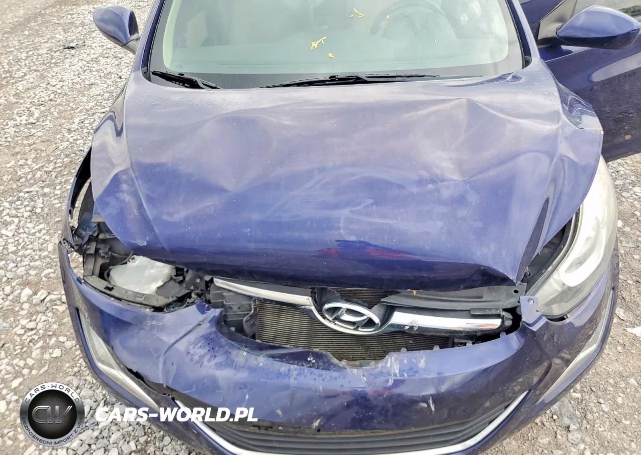 2014 Hyundai Elantra Se VIN:5NPDH4AE4EH495941 - 11