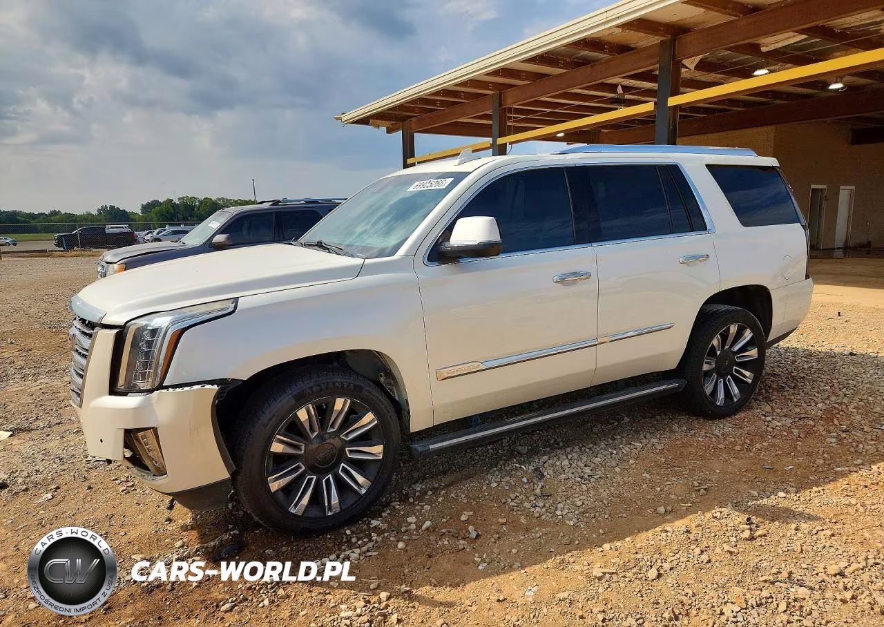 2015 Cadillac Escalade Platinum VIN:1GYS4PKJ6FR707291 - 1