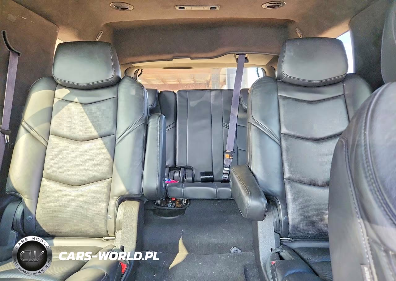 2015 Cadillac Escalade Platinum VIN:1GYS4PKJ6FR707291 - 10