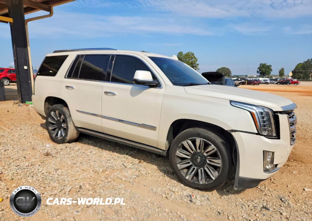 2015 Cadillac Escalade Platinum VIN:1GYS4PKJ6FR707291 - 4
