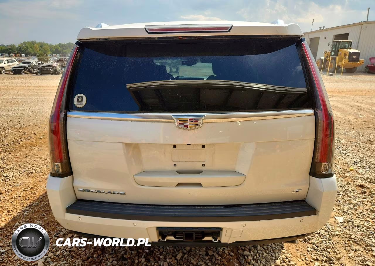 2015 Cadillac Escalade Platinum VIN:1GYS4PKJ6FR707291 - 6