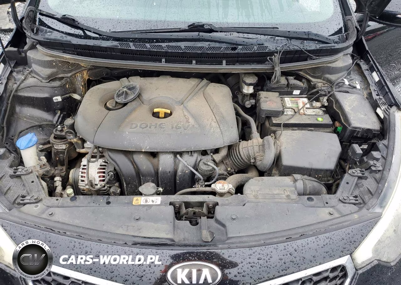 2016 Kia Forte Lx VIN:KNAFX4A60G5589691 - 11