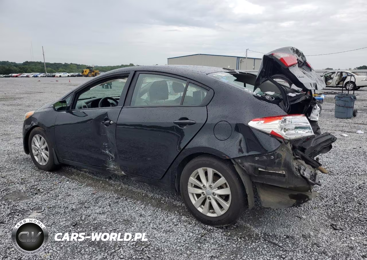 2016 Kia Forte Lx VIN:KNAFX4A60G5589691 - 2