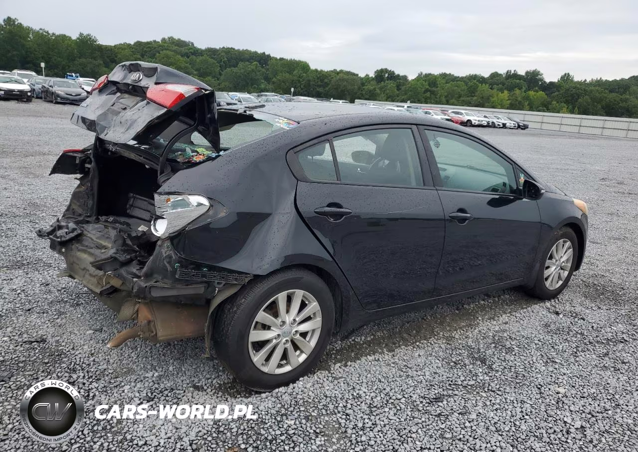 2016 Kia Forte Lx VIN:KNAFX4A60G5589691 - 3