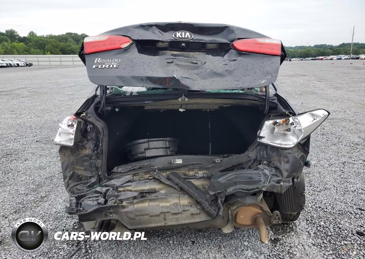 2016 Kia Forte Lx VIN:KNAFX4A60G5589691 - 6