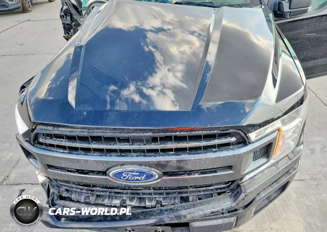 2019 Ford F150 Supercrew VIN:1FTEW1C43KKE59183 - 11