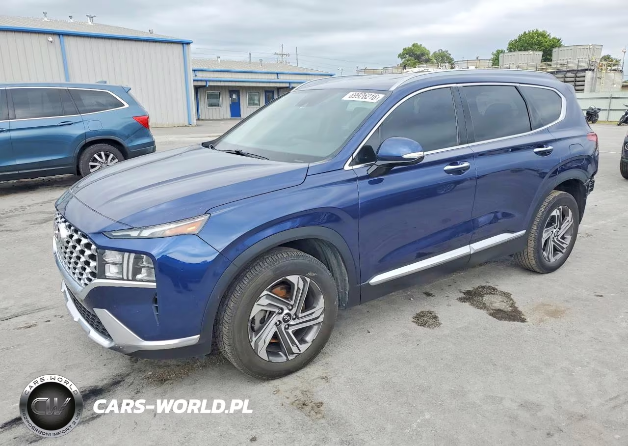 2021 Hyundai Santa Fe Sel VIN:5NMS64AJ5MH317249 - 1
