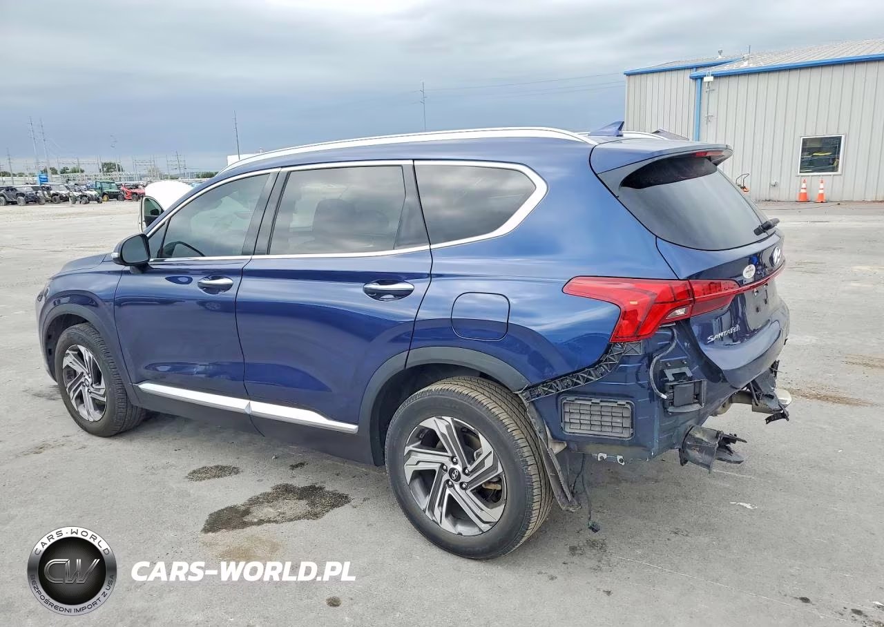 2021 Hyundai Santa Fe Sel VIN:5NMS64AJ5MH317249 - 2