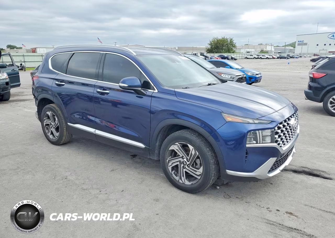 2021 Hyundai Santa Fe Sel VIN:5NMS64AJ5MH317249 - 4