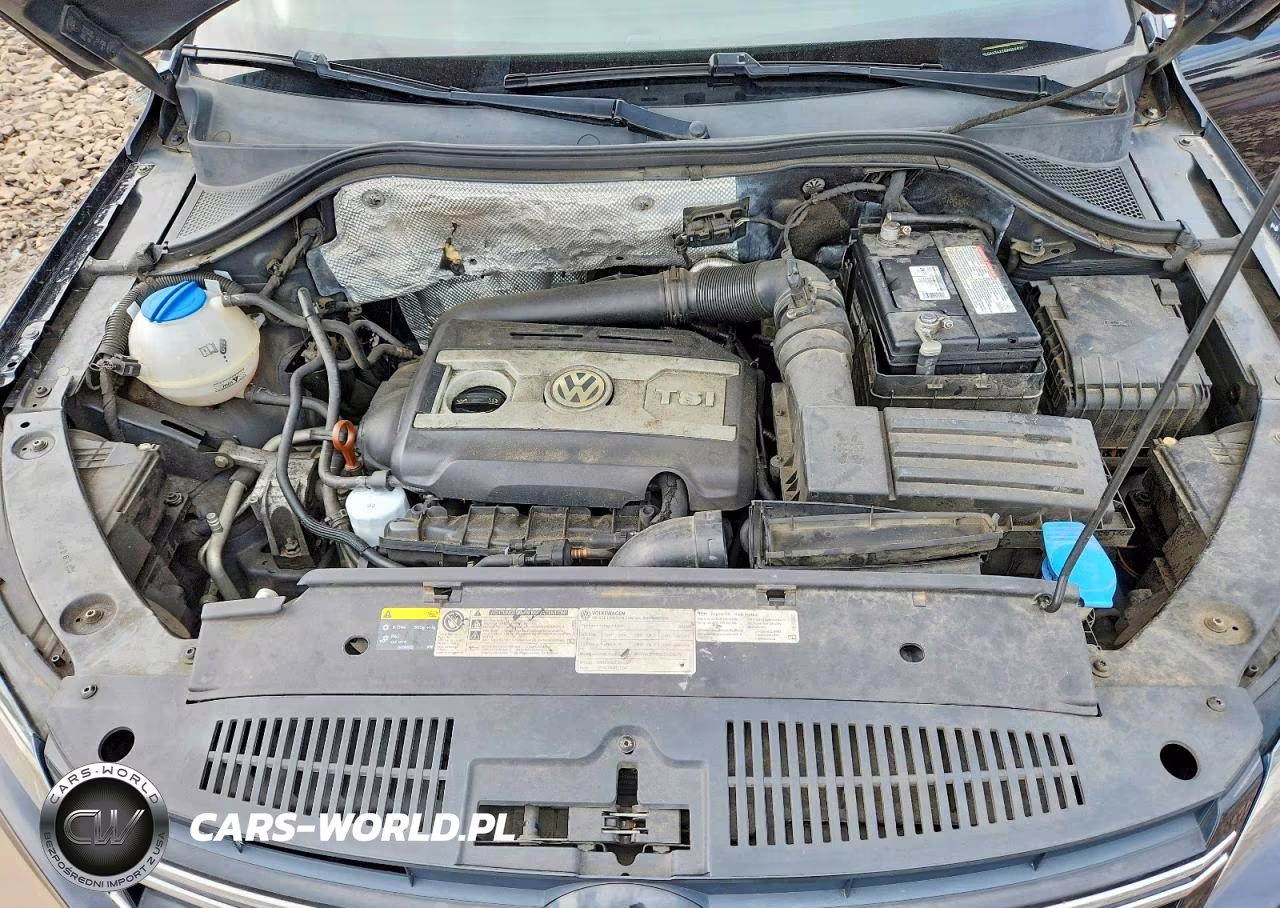 2013 Volkswagen Tiguan S VIN:WVGAV3AX2DW602626 - 12