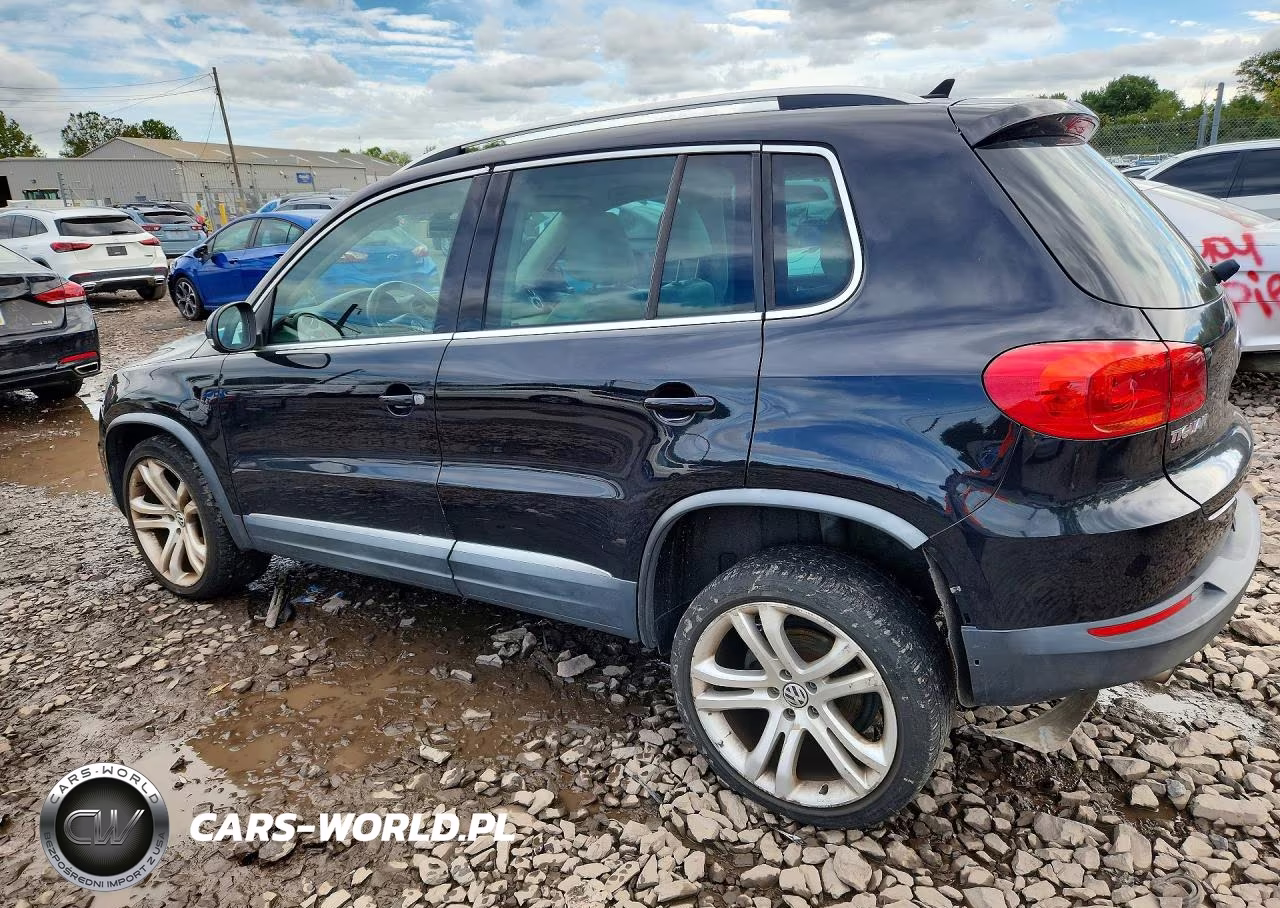 2013 Volkswagen Tiguan S VIN:WVGAV3AX2DW602626 - 2