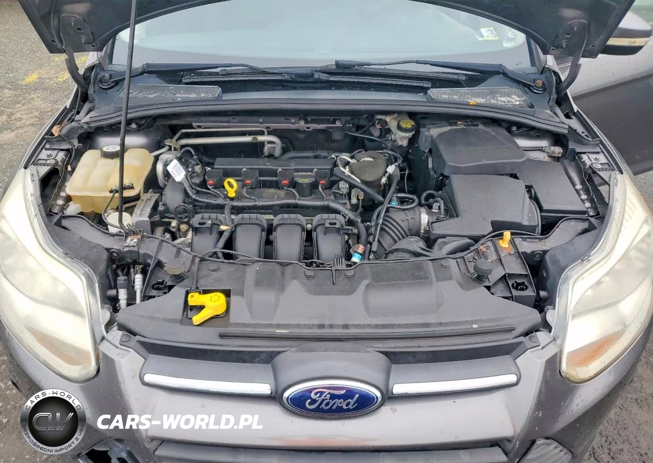 2014 Ford Focus Se VIN:1FADP3F21EL230908 - 11