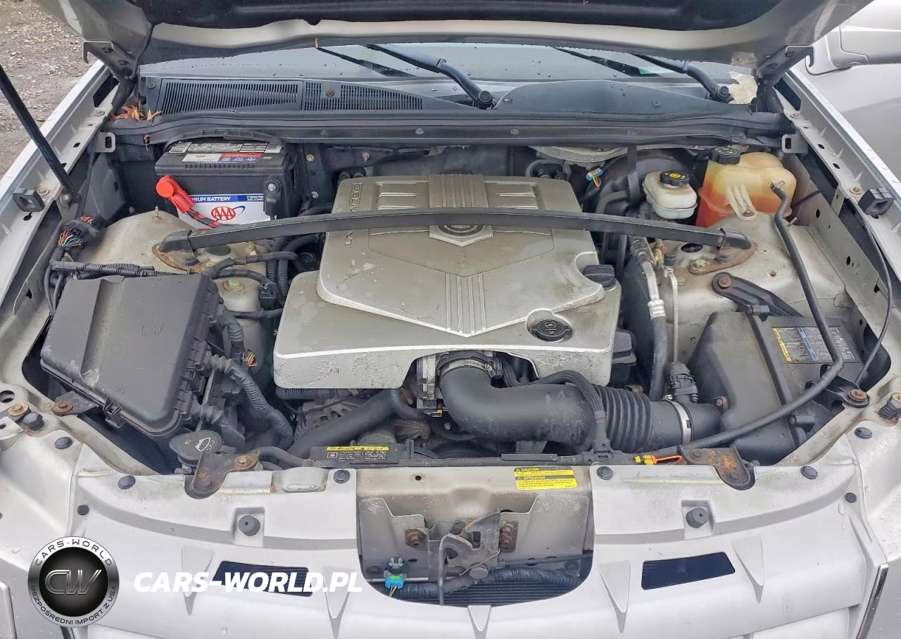 2006 Cadillac Srx VIN:1GYEE637460166544 - 12