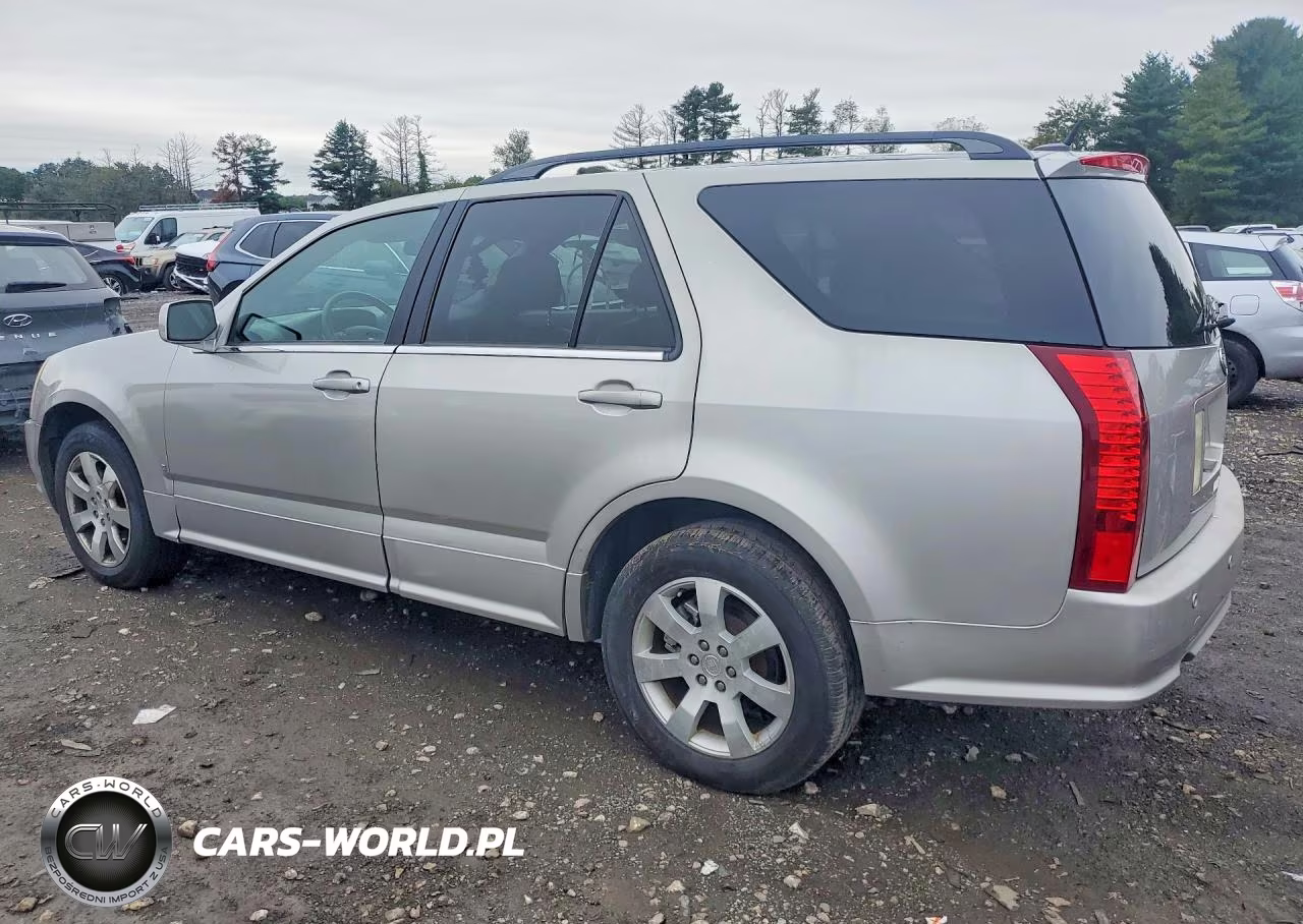 2006 Cadillac Srx VIN:1GYEE637460166544 - 2