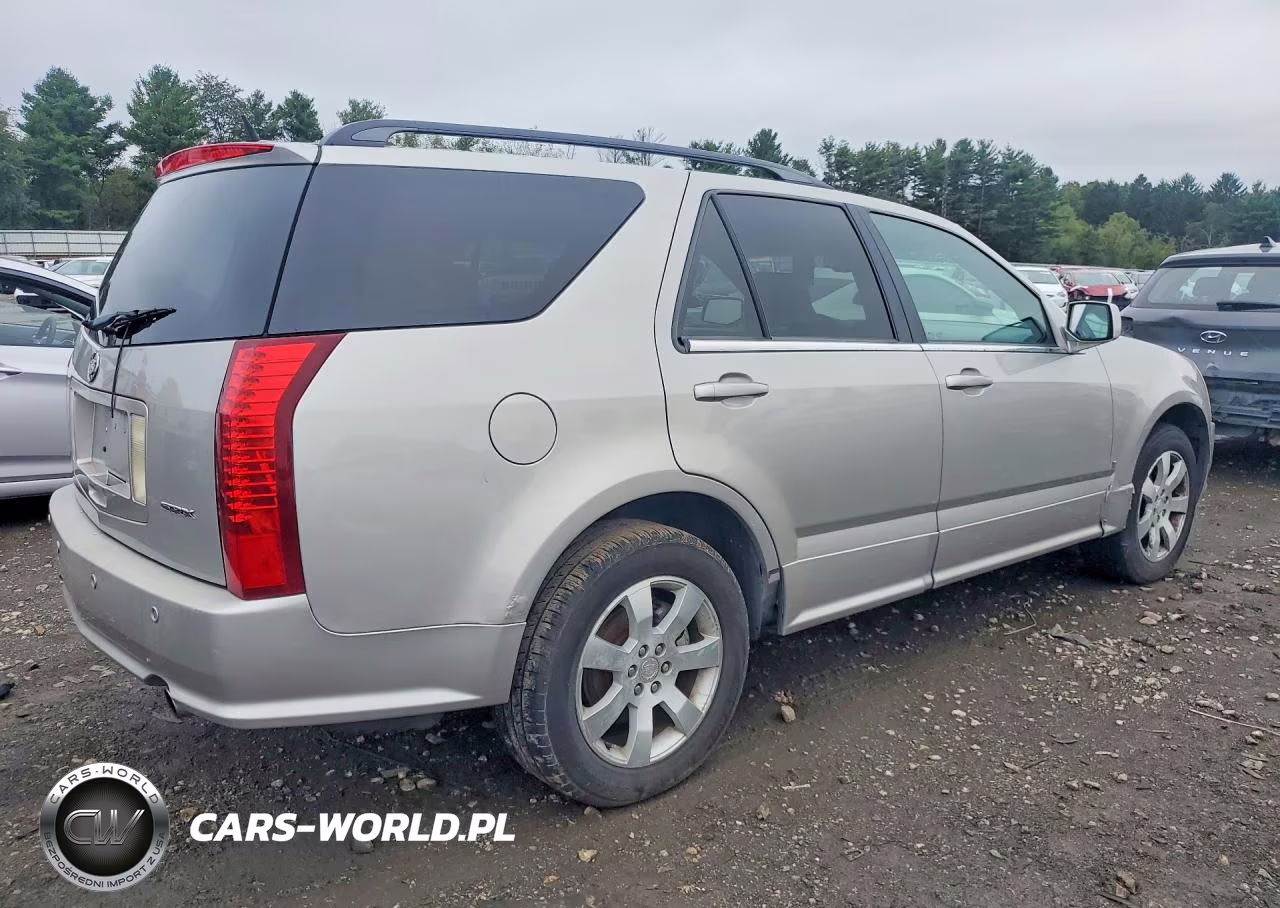 2006 Cadillac Srx VIN:1GYEE637460166544 - 3