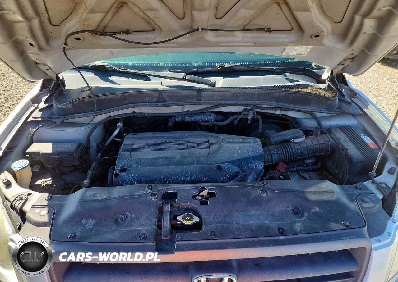 2004 Honda Pilot Exl VIN:2HKYF18684H507687 - 11