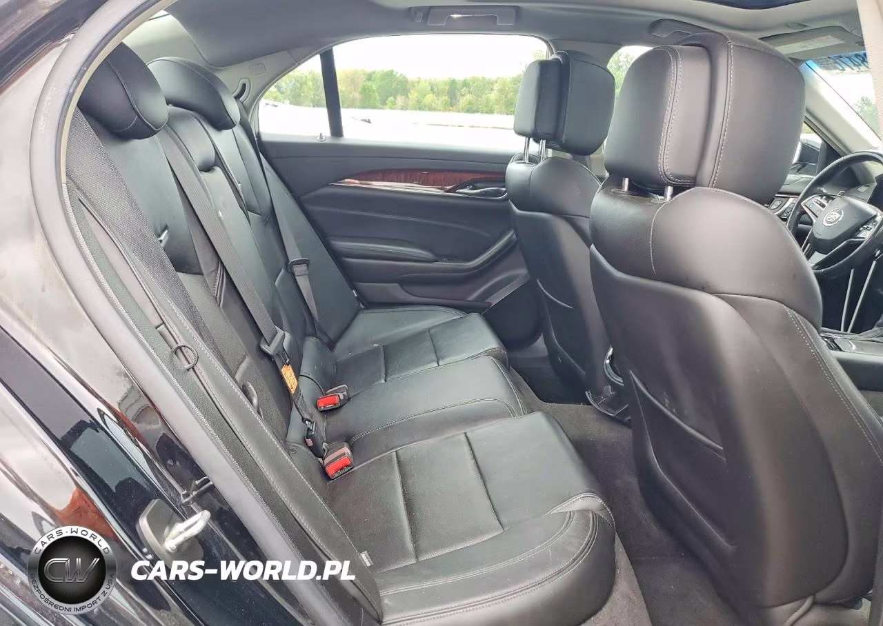 2014 Cadillac Cts Luxury Collection VIN:1G6AX5SX5E0147688 - 10