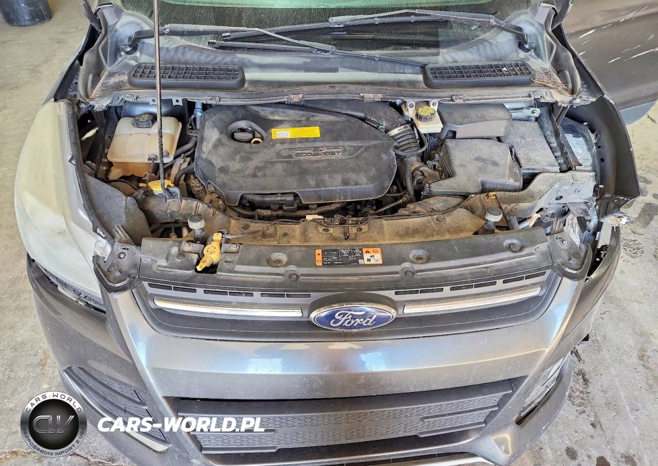 2015 Ford Escape Se VIN:1FMCU0GX1FUA69796 - 11