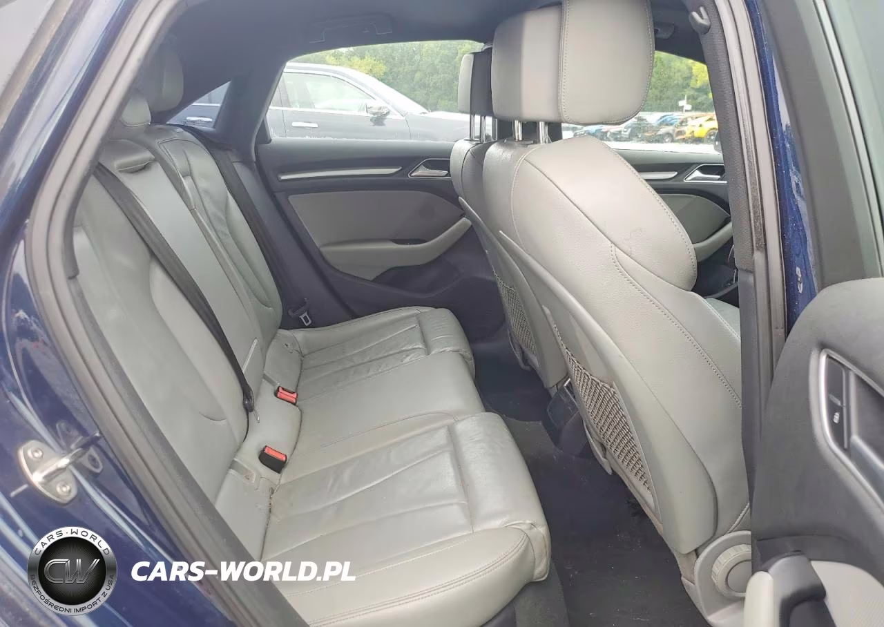 2017 Audi A3 Premium VIN:WAUAUGFF6H1067251 - 10