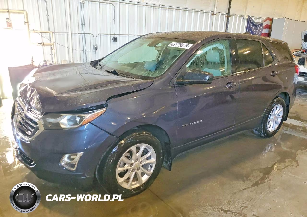 2019 Chevrolet Equinox Ls VIN:3GNAXHEV5KL217818 - 1