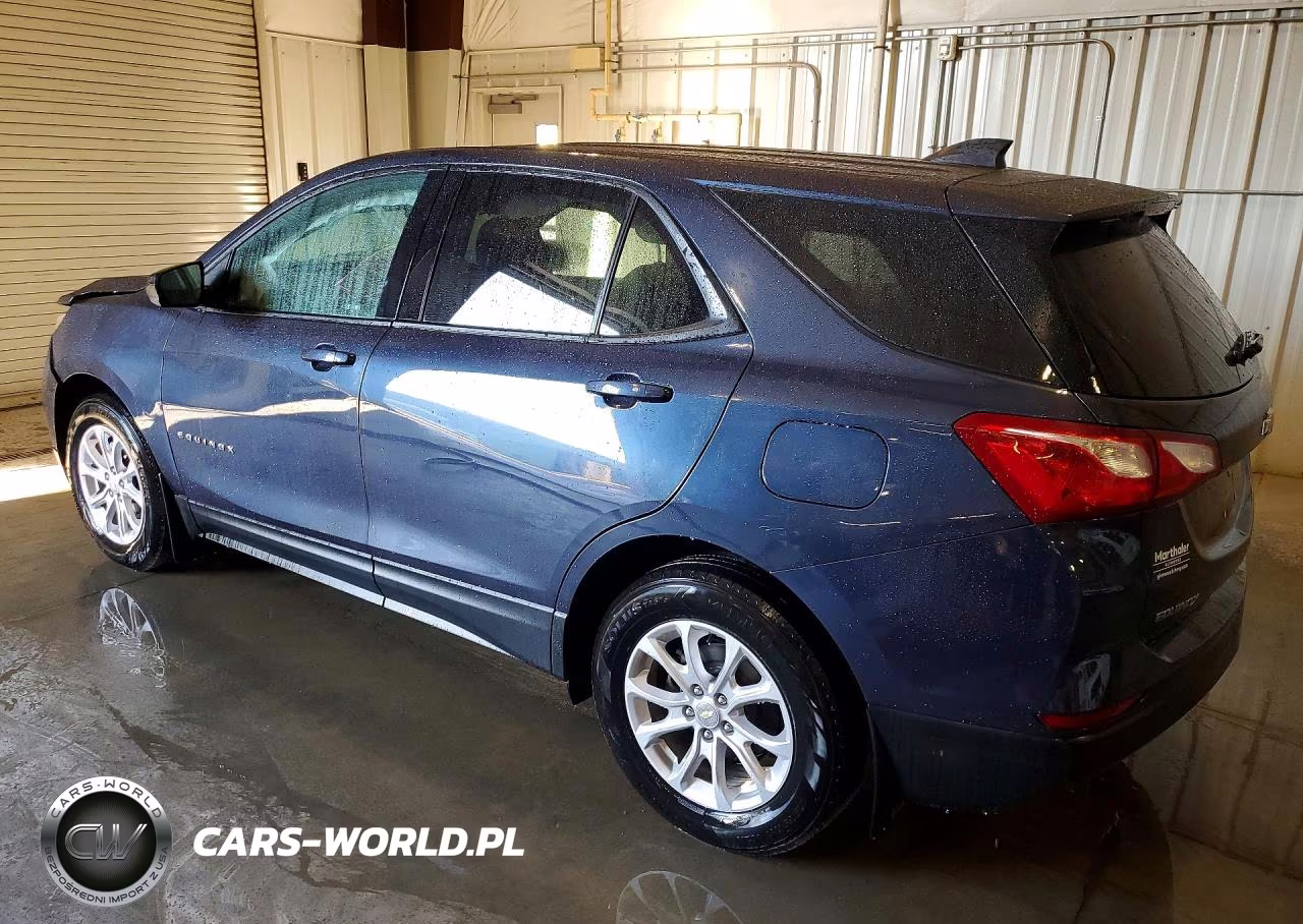2019 Chevrolet Equinox Ls VIN:3GNAXHEV5KL217818 - 2