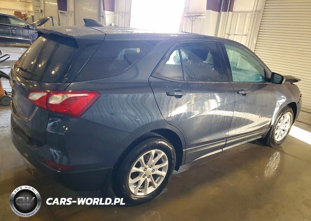 2019 Chevrolet Equinox Ls VIN:3GNAXHEV5KL217818 - 3