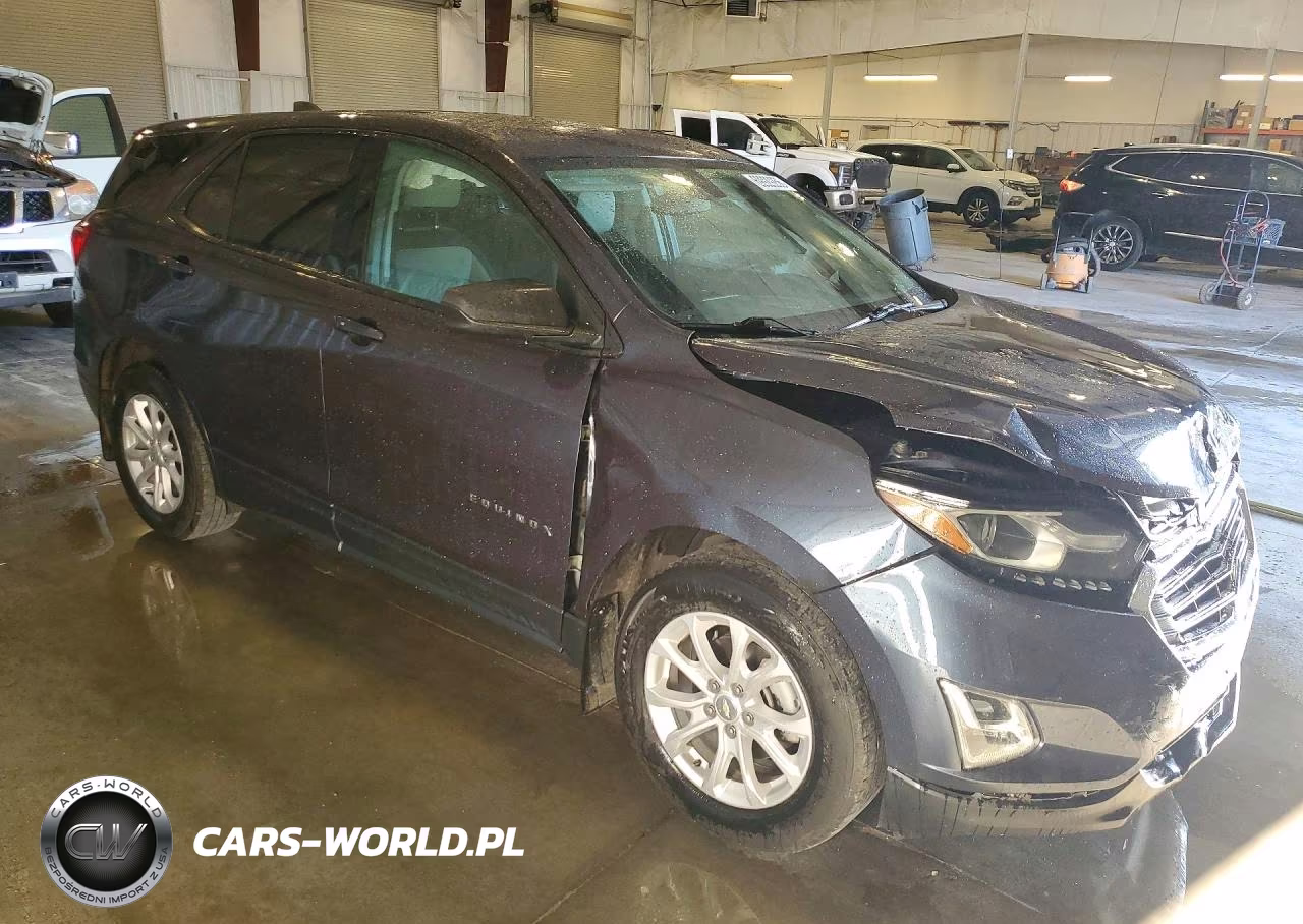 2019 Chevrolet Equinox Ls VIN:3GNAXHEV5KL217818 - 4