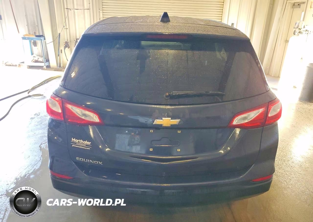 2019 Chevrolet Equinox Ls VIN:3GNAXHEV5KL217818 - 6