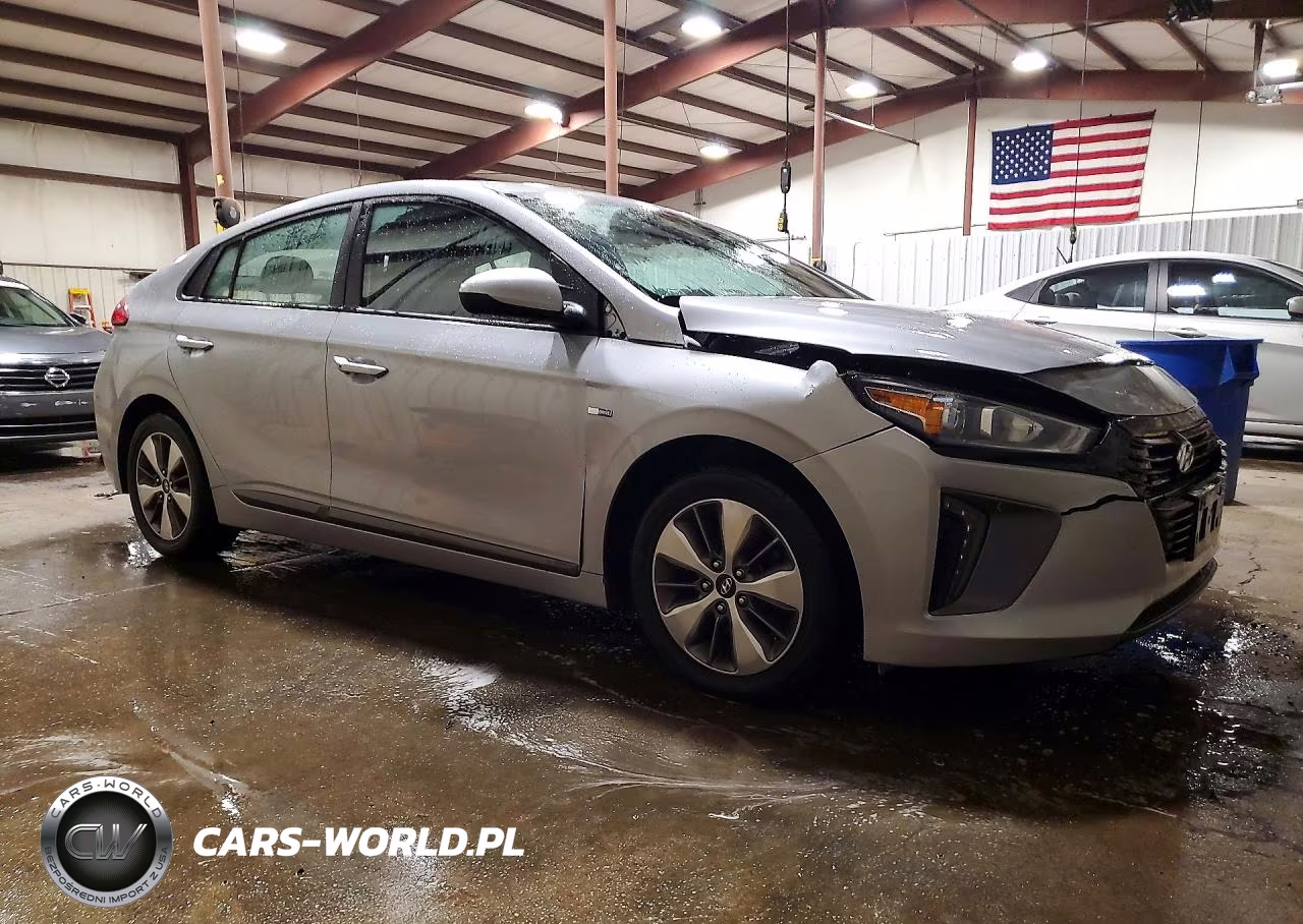 2019 Hyundai Ioniq Plug-In Hybrid Base VIN:KMHC65LD9KU173269 - 4