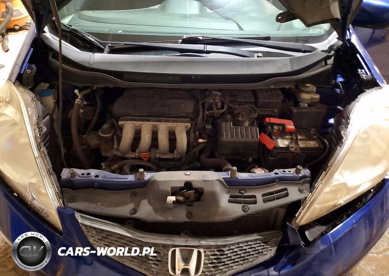2010 Honda Fit Sport VIN:JHMGE8H47AC000307 - 11