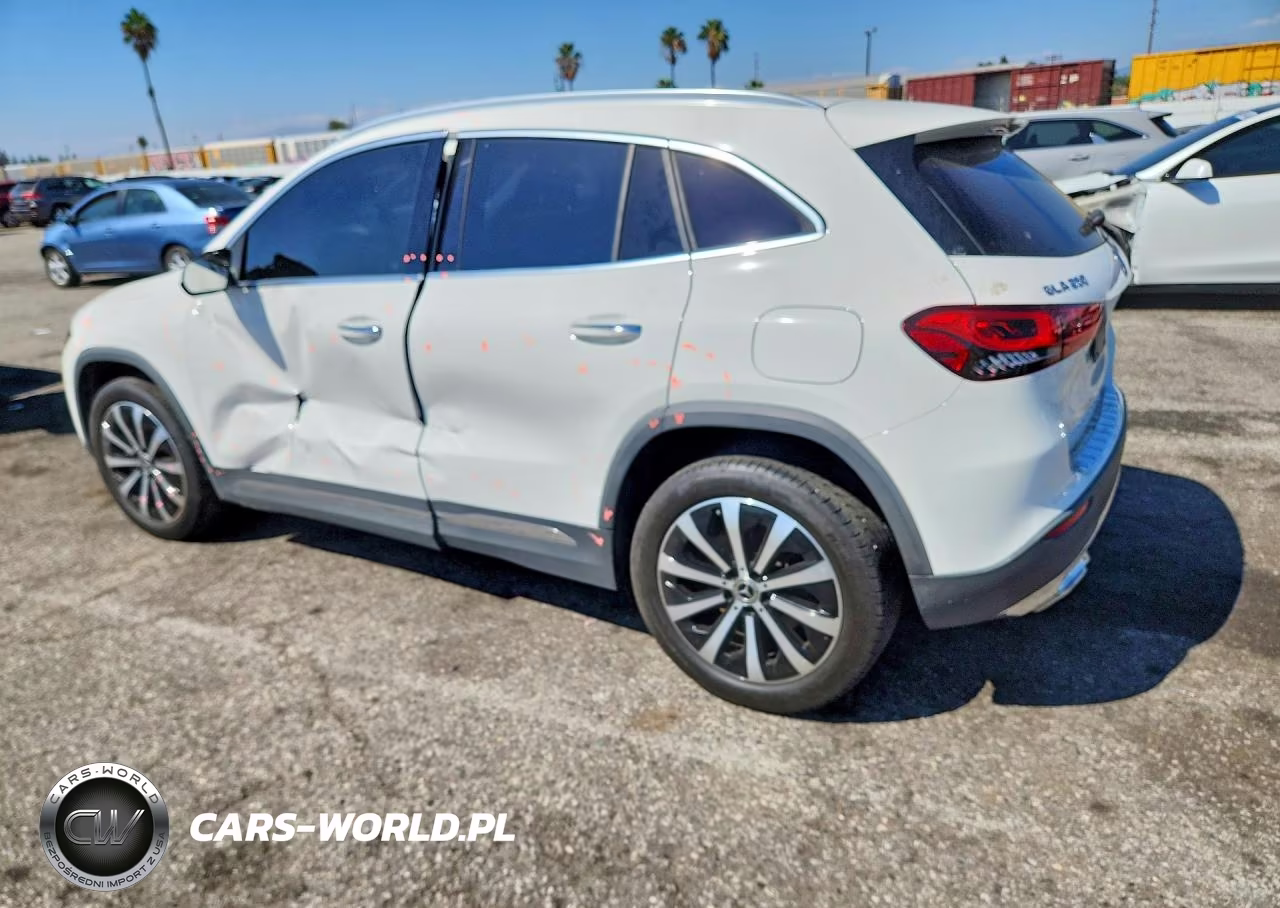 2023 Mercedes-Benz Gla 250 VIN:W1N4N4GB3PJ499214 - 2