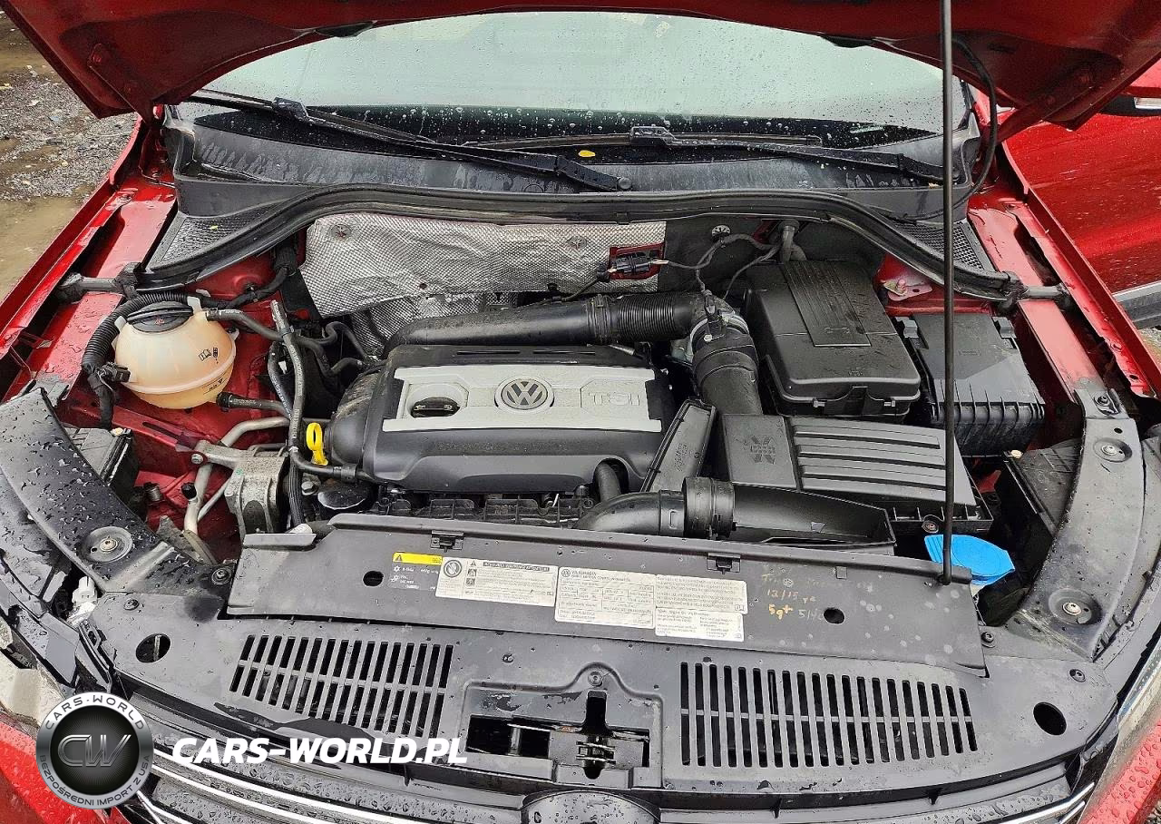 2016 Volkswagen Tiguan S VIN:WVGBV7AX1GW063934 - 12