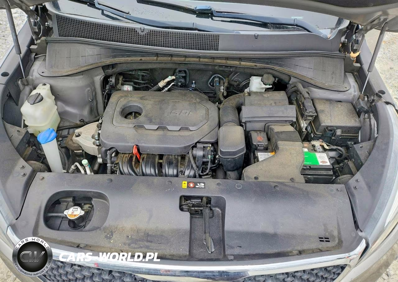 2017 Kia Sorento Lx VIN:5XYPGDA39HG293834 - 12