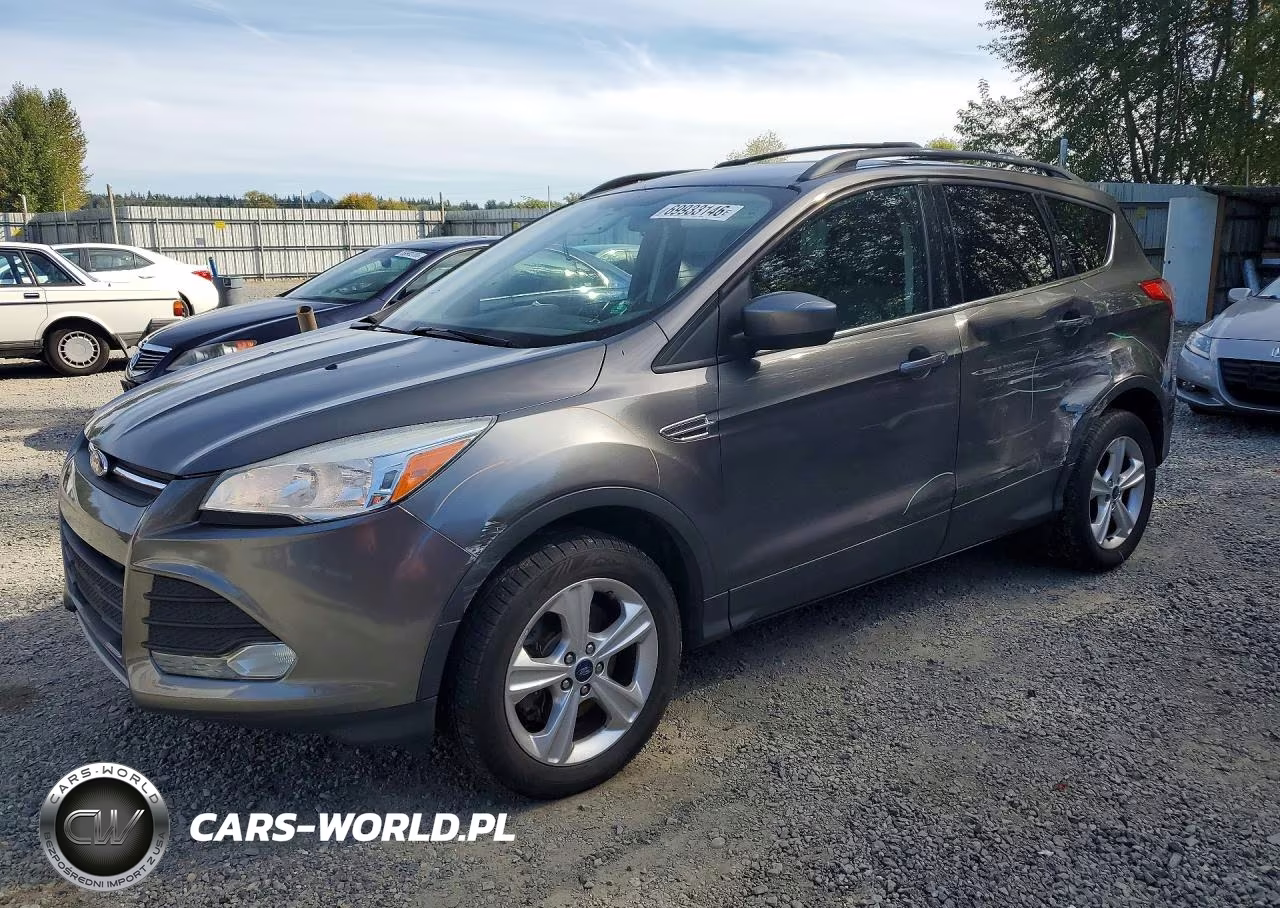 2013 Ford Escape Se VIN:1FMCU9G98DUD80497 - 1