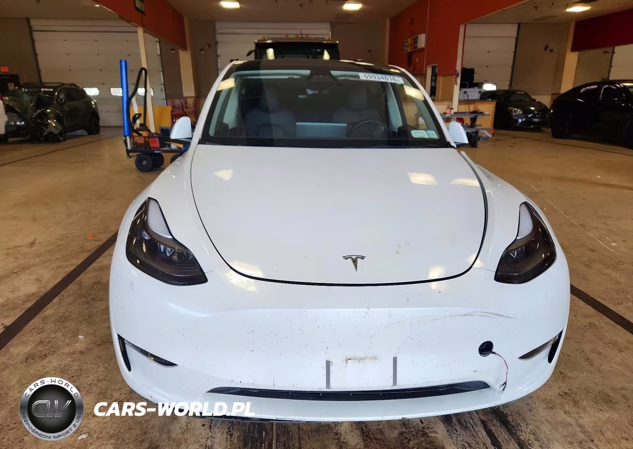2023 Tesla Model Y VIN:7SAYGAEE5PF808402 - 5