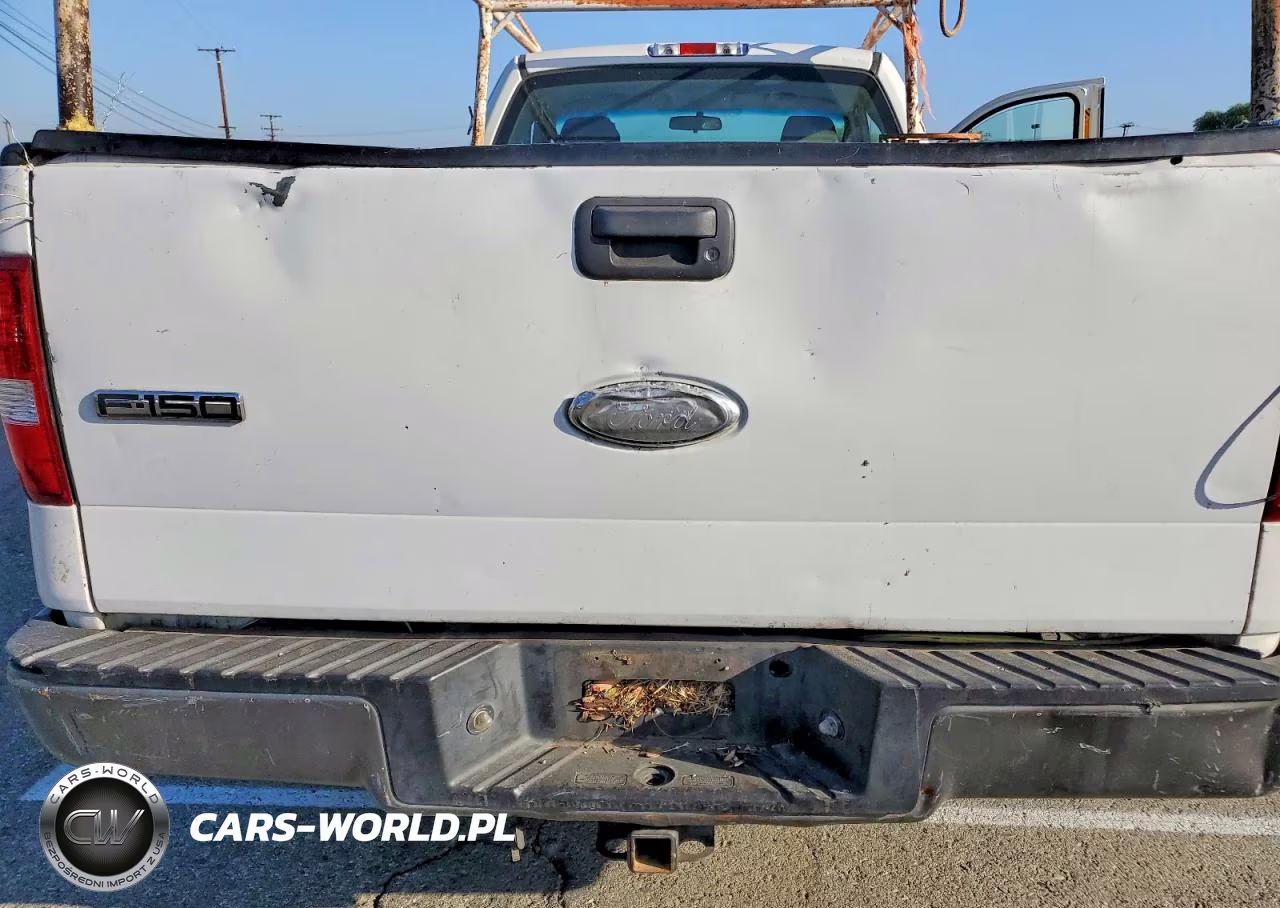 2006 Ford F150 VIN:1FTRF12W16KB50239 - 10