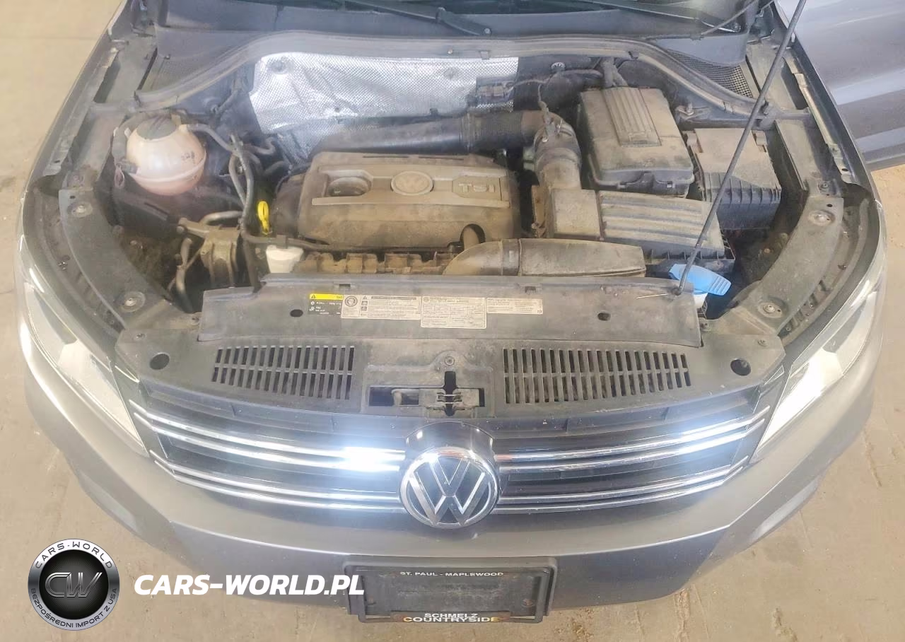 2015 Volkswagen Tiguan S VIN:WVGAV7AX9FW554942 - 11
