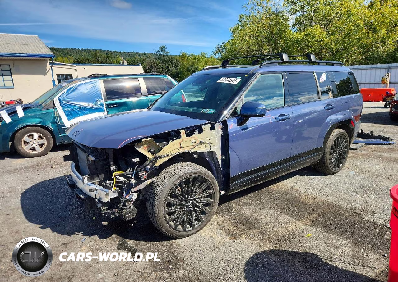 2025 Hyundai Santa Fe Calligraphy VIN:5NMP5DGL6SH145487 - 1