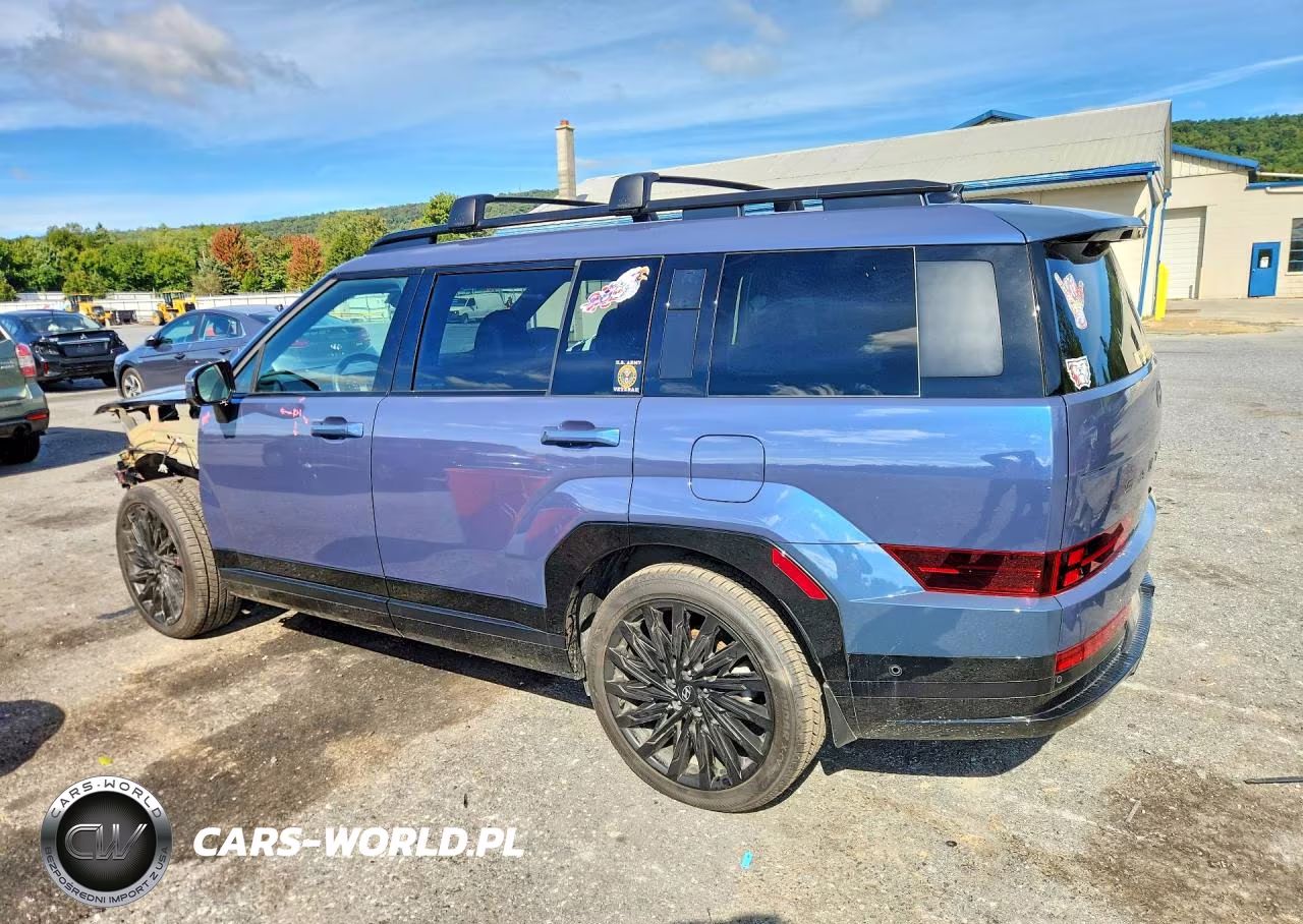 2025 Hyundai Santa Fe Calligraphy VIN:5NMP5DGL6SH145487 - 2