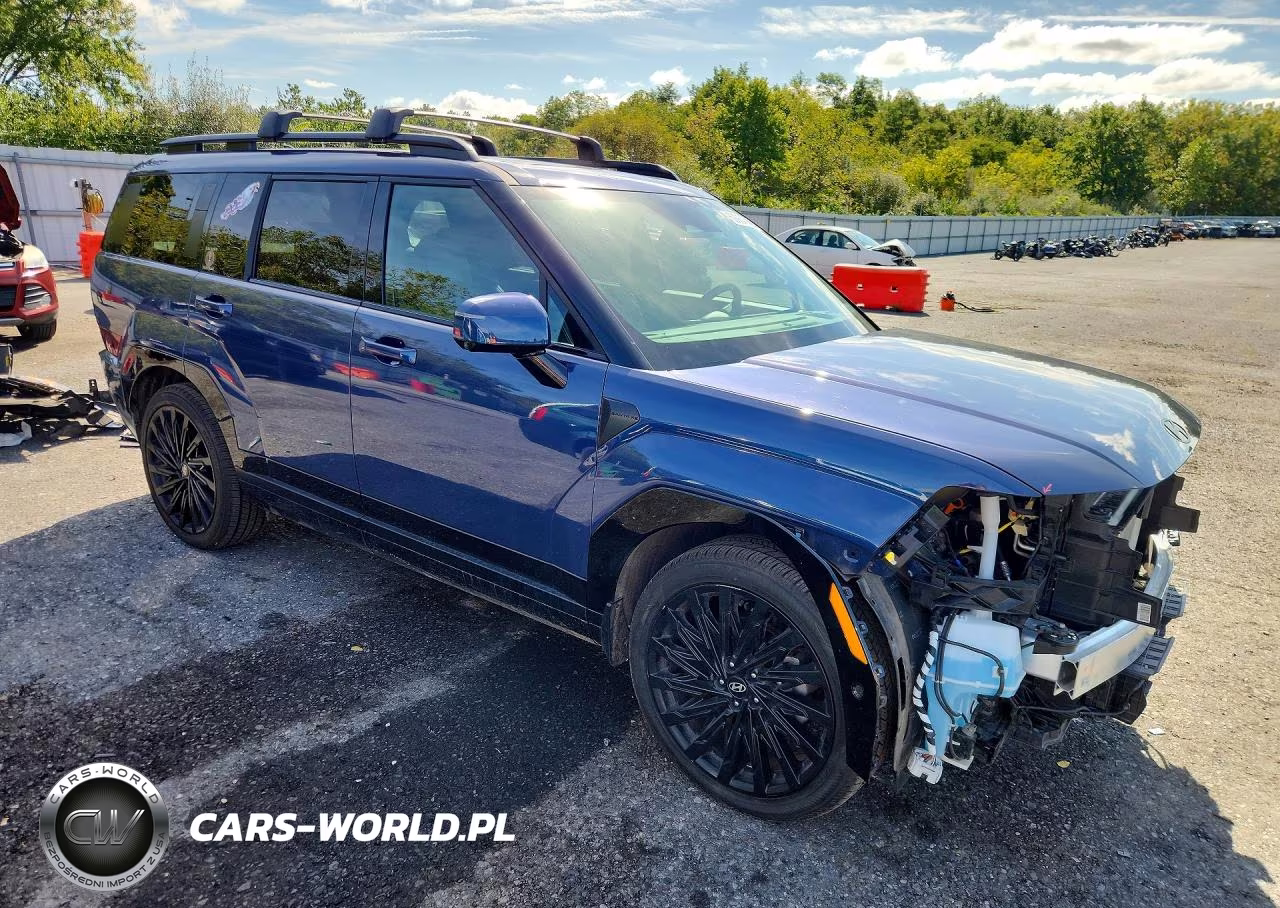 2025 Hyundai Santa Fe Calligraphy VIN:5NMP5DGL6SH145487 - 4