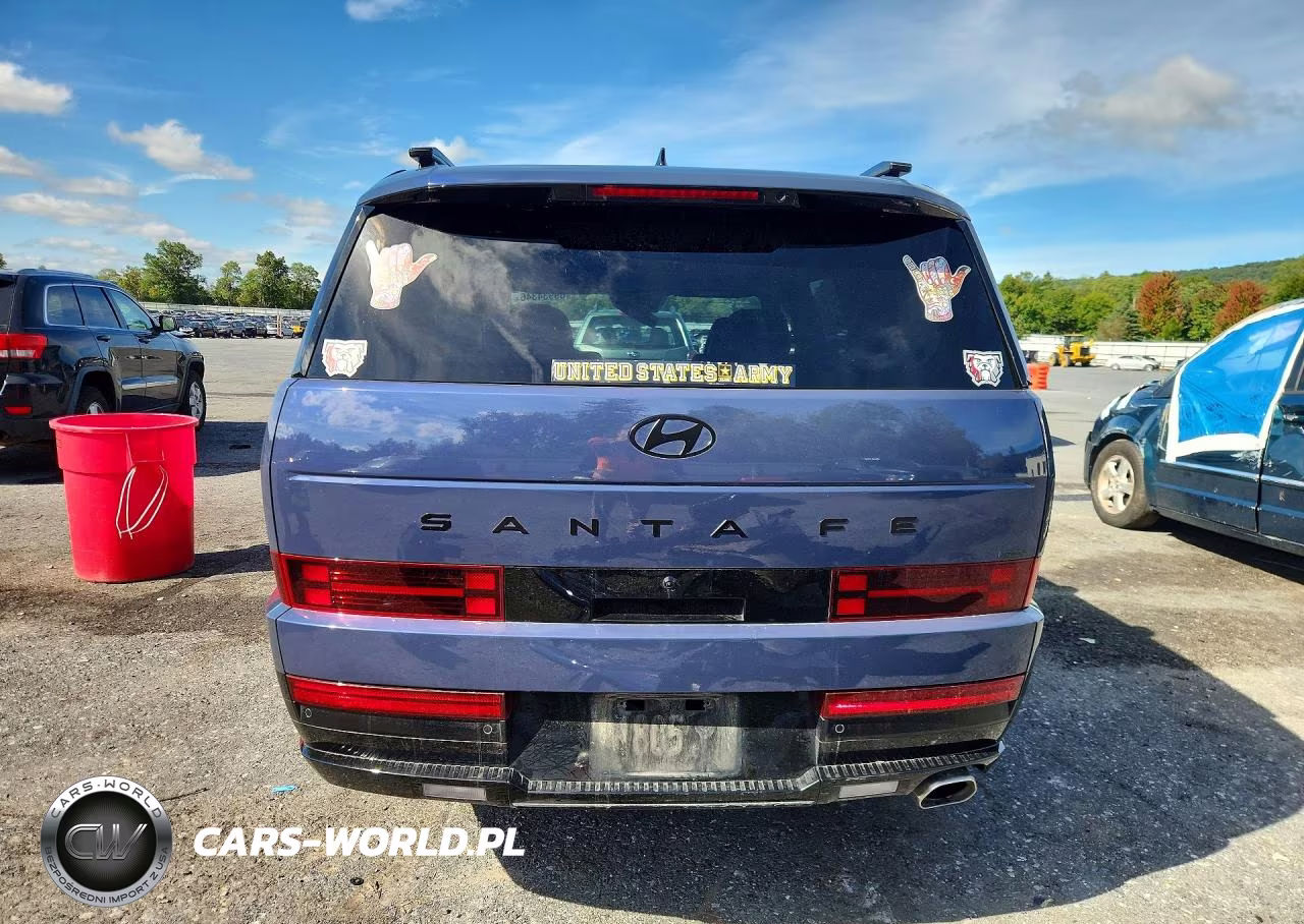 2025 Hyundai Santa Fe Calligraphy VIN:5NMP5DGL6SH145487 - 6