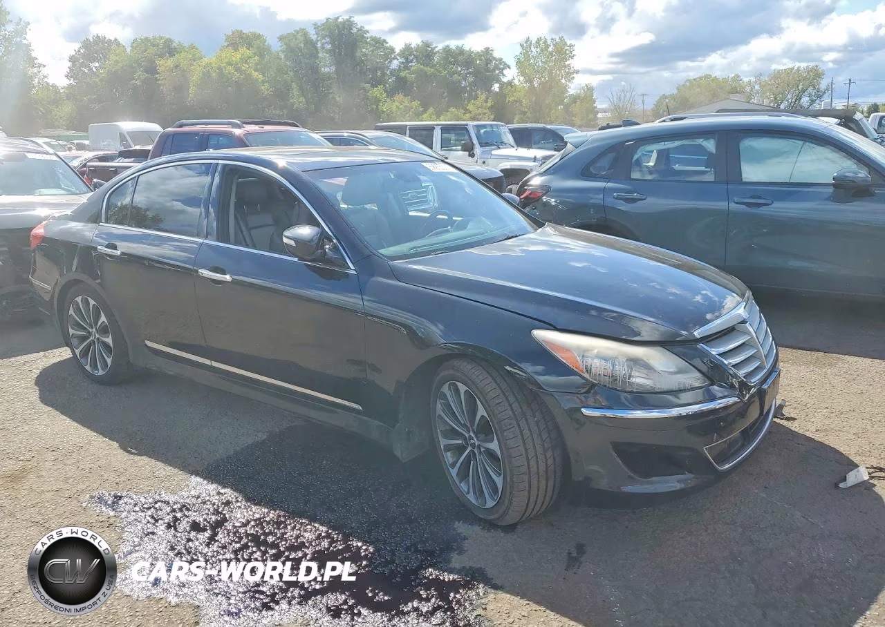 2013 Hyundai Genesis 5.0L VIN:KMHGC4DH9DU257312 - 4