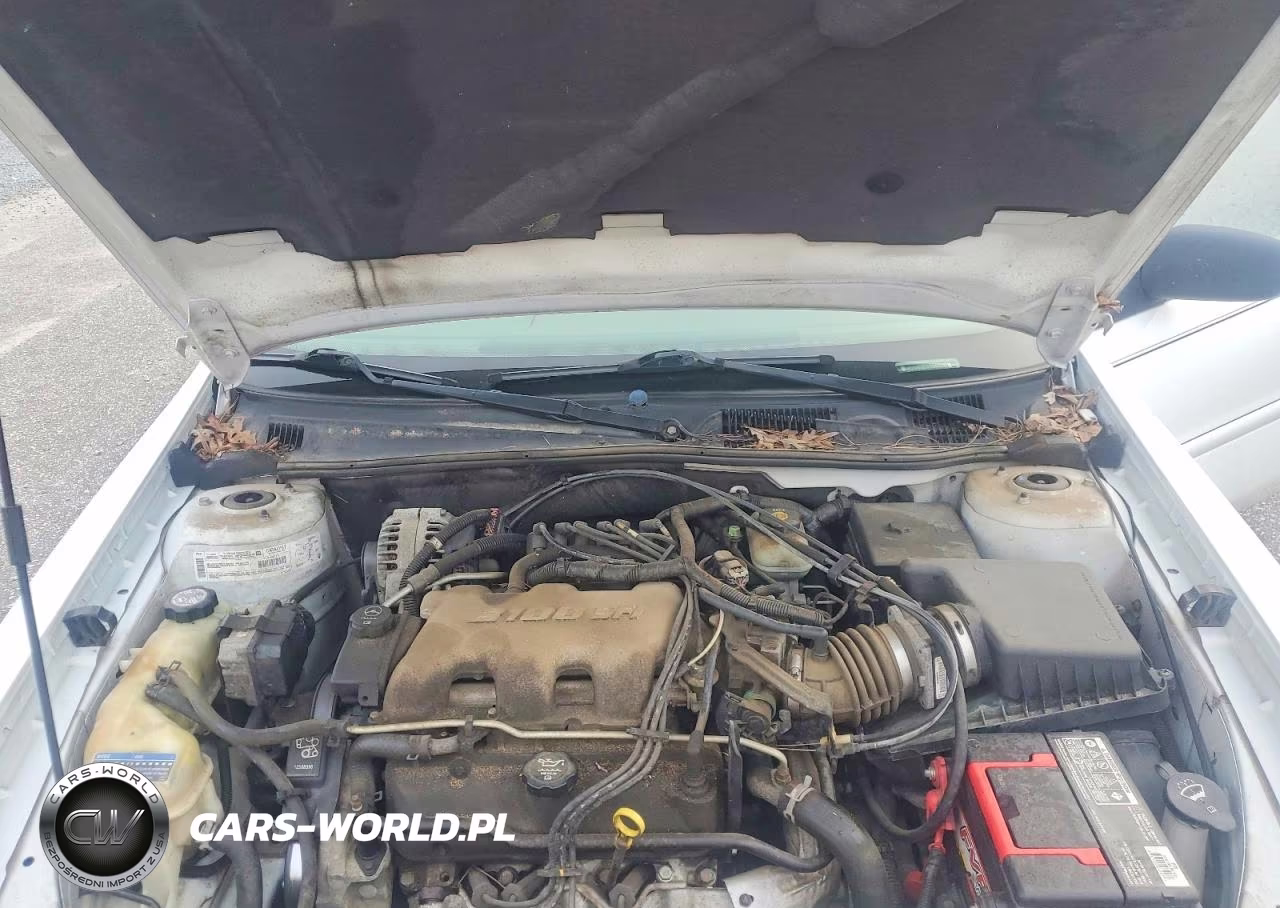 2003 Chevrolet Malibu VIN:1G1ND52J23M544020 - 11