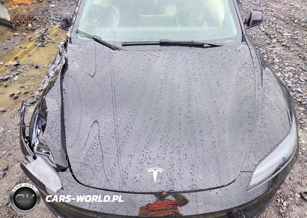 2025 Tesla Model 3 VIN:5YJ3E1EB2SF914673 - 11