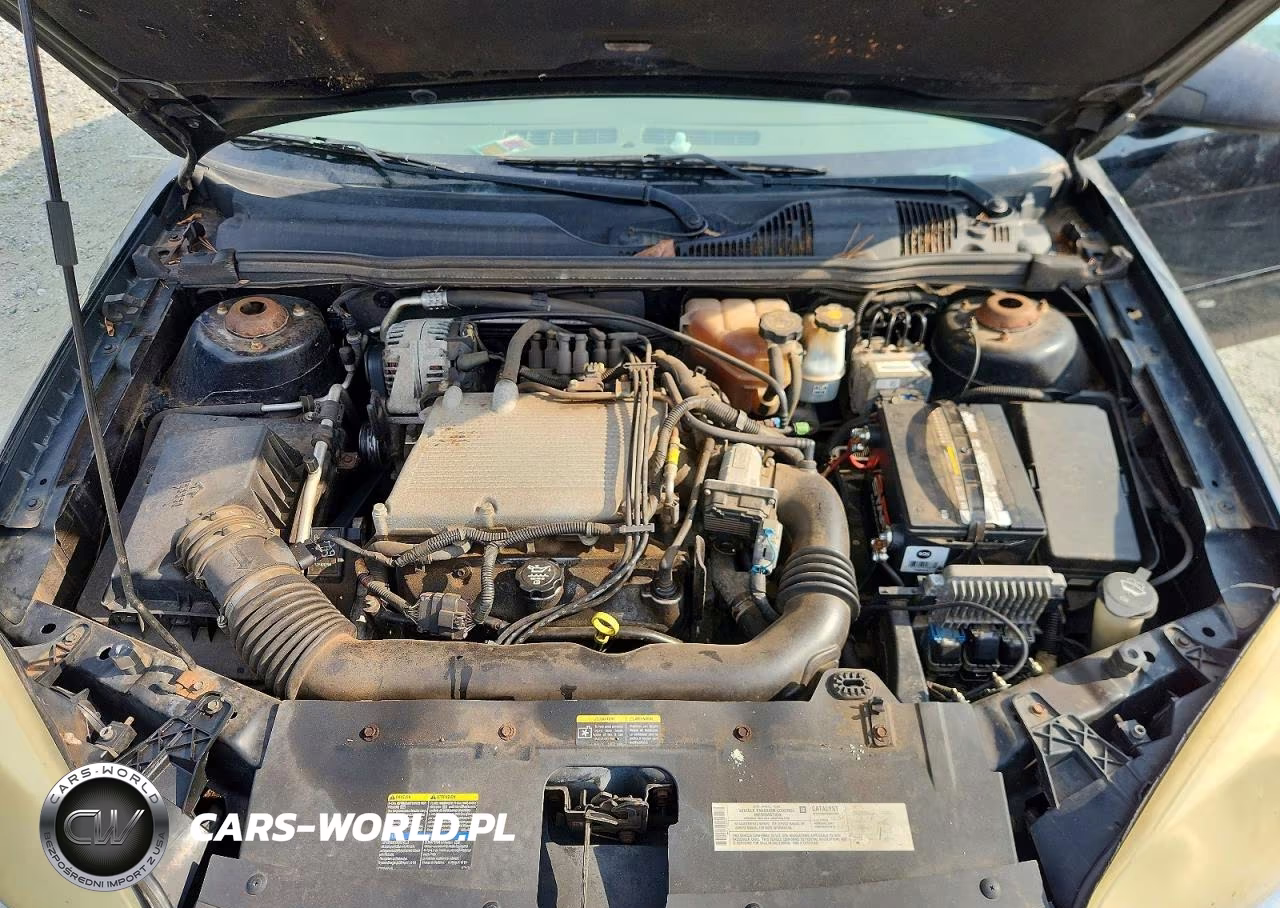 2004 Chevrolet Malibu Maxx Ls VIN:1G1ZT62844F149835 - 11