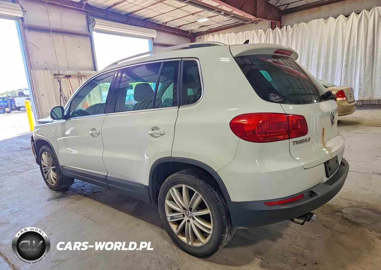 2015 Volkswagen Tiguan S VIN:WVGBV7AX8FW611264 - 2