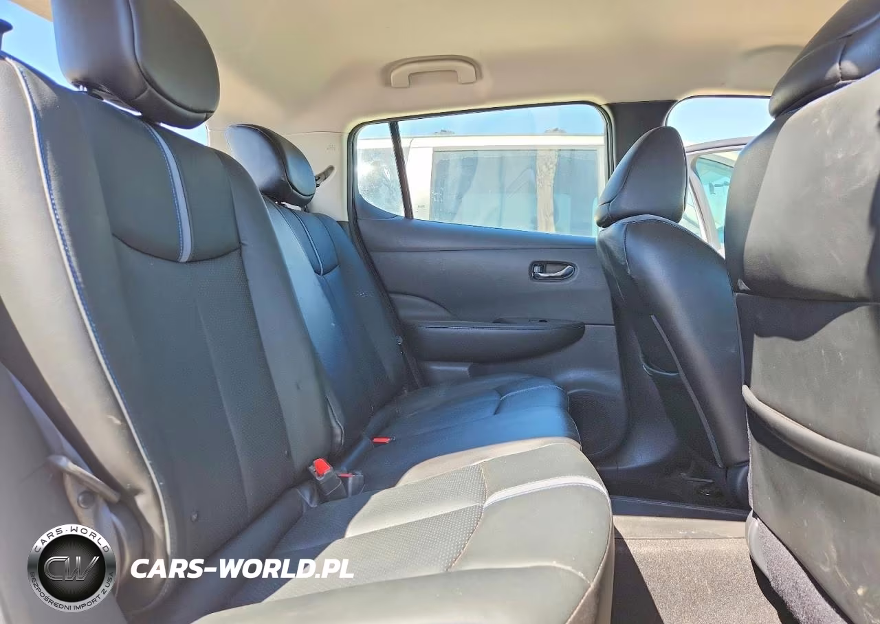 2018 Nissan Leaf Sl VIN:1N4AZ1CP8JC317118 - 10