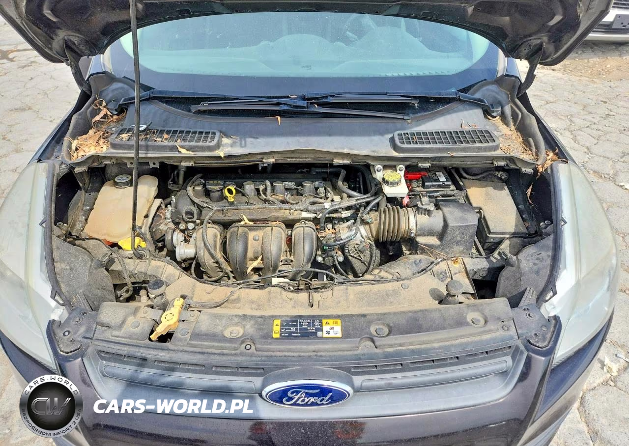 2013 Ford Escape S VIN:1FMCU0F75DUA95266 - 12